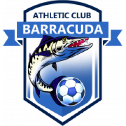 坦博足球俱乐部